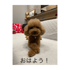 morinrinfaze_20231101193620