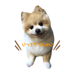 Kana_20231101215229
