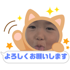 sakura_20231101214857