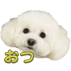 YUKA_20231101224559