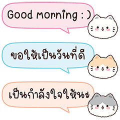 Meow Mini Chat : Have a good day : )