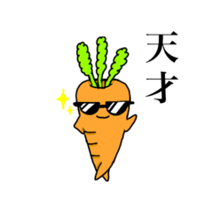 sunglasses carrot