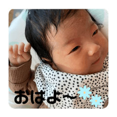 coco_20231102110834