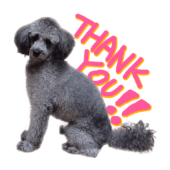 innocence_20231102151712