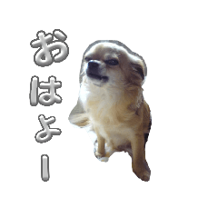 taranbo_20231102175010