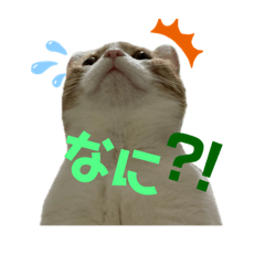 SAKURA_20231102194313