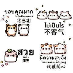 泰國泰文台灣中文可愛貓狗動物圖案實用好用