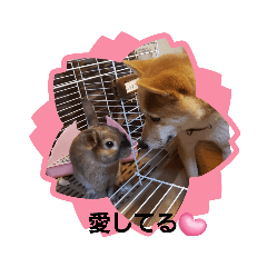 chisa_20231102202257