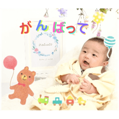 hakutomama_20231102201805