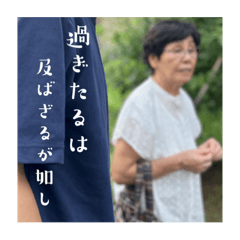 Sakura_20231102180139