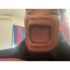 sunny_20231103092804