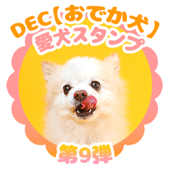 DEC - ODEKAKEN dog sticker 09