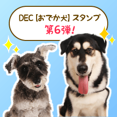 DEC - ODEKAKEN dog sticker 06