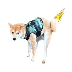 Jinjin_20231103164315