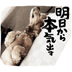 Aaron_20231103170948