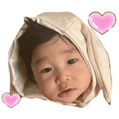 Sakura_20231103163047