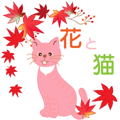 Lots of flowers and pastel cats - autumn