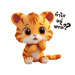 Cute little tiger cat