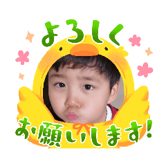 sakura_20231103201543