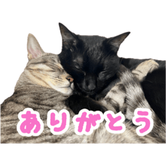 sory_20231104000522 – LINE stickers | LINE STORE