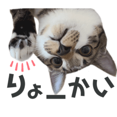 kana_20231104123542