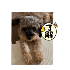 YUKA_20231104123055