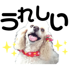 omochi_20231104001746