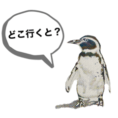 suzu_20231104074349