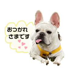 Megumi_20231104142523