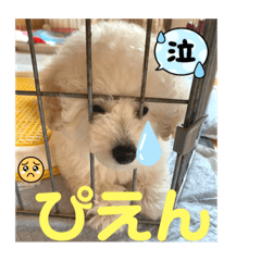 BLACK choco_20231105100650