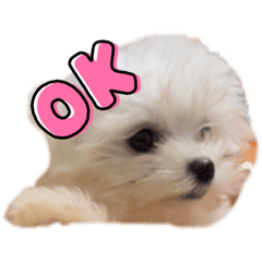 SUNNY_20231104151304