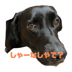 Yuka_20231104162225