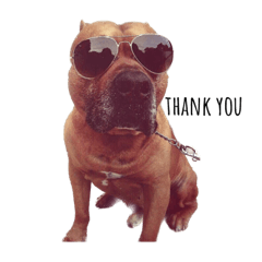 sakura_20231104162731