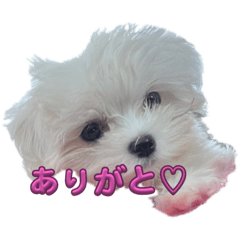 SUNNY_20231104184328