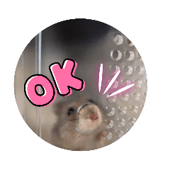 PUKU_20231104204945