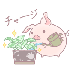 Buta-kun and plant