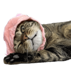 Ova_20231104233304 – LINE stickers | LINE STORE