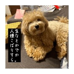 SUNNY_20231104153301