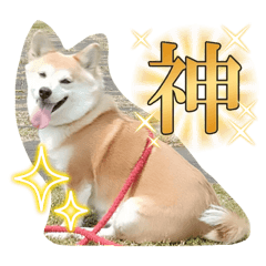 chan_20231105004914