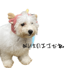 yuka_20231104201812