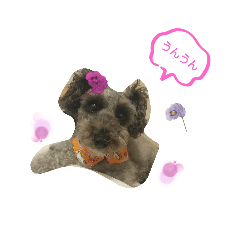 shuu_20231104211340