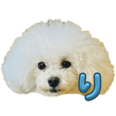 YUKA_20231104233628