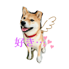 chan_20231104234203
