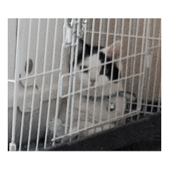 mayu-n_20231105141151