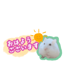 Kana_20231105015213