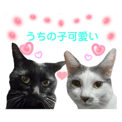 Cute Cat komari&komame sticker (Family)