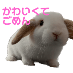 omochi_20231104213435