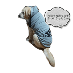 Stamp of my old doggy 2