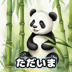 Panda Sticker 40-3