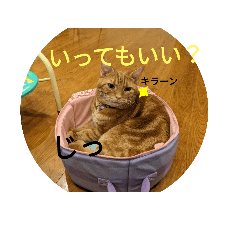 gomakuro_20231105173321